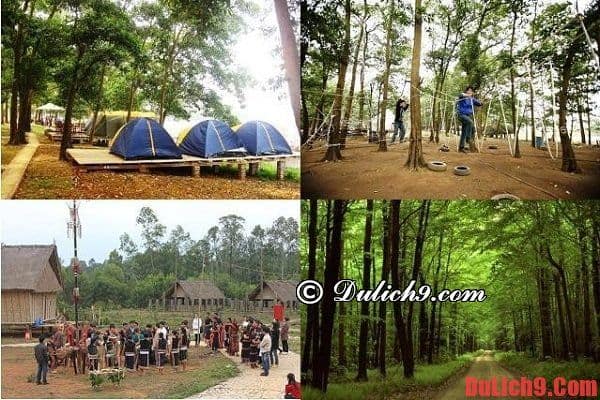 Gần Hà Nội có địa điểm cắm trại nào đẹp?