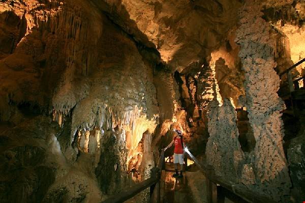 du lịch malaysia, ivivu.com, khách sạn malaysia, du lịch malaysia khám phá vẻ bí ẩn, huyền bí của vườn quốc gia gunung mulu