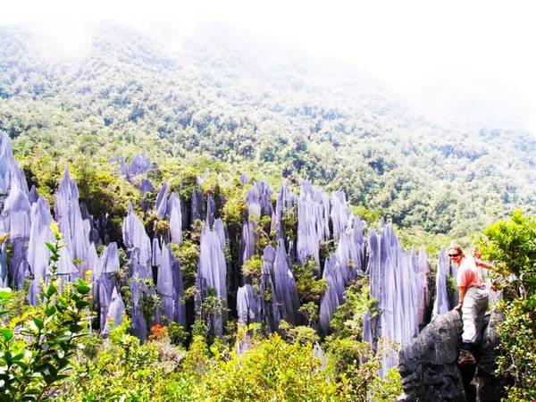 du lịch malaysia, ivivu.com, khách sạn malaysia, du lịch malaysia khám phá vẻ bí ẩn, huyền bí của vườn quốc gia gunung mulu