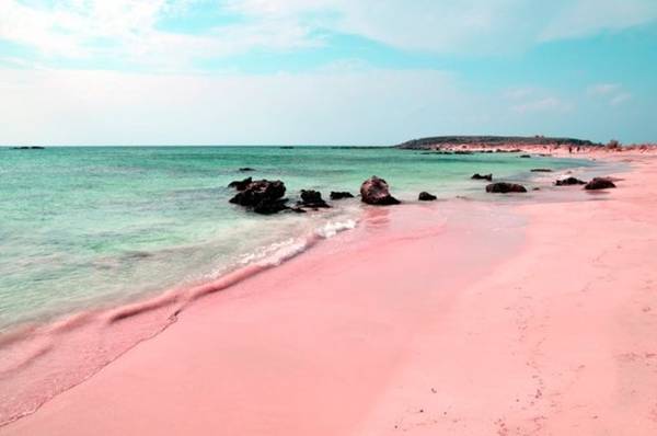 ivivu.com, đặt khách sạn, những bãi biển hồng kỳ lạ mê đắm lòng người