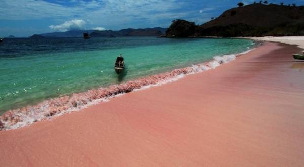 ivivu.com, đặt khách sạn, những bãi biển hồng kỳ lạ mê đắm lòng người