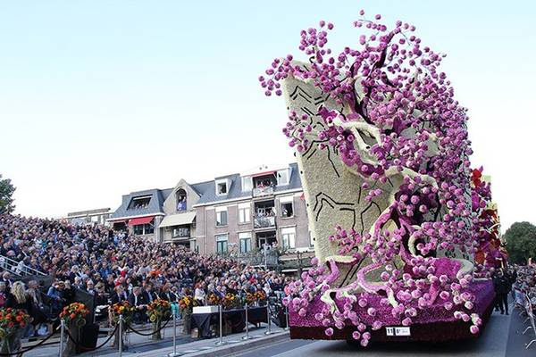 du lịch hà lan, ivivu.com, khách sạn, du lịch hà lan chiêm ngưỡng những tượng hoa khổng lồ