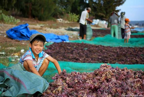 du lịch nha trang, ivivu.com, đặt phòng online, 10 thiên đường biển đảo của du lịch khánh hòa