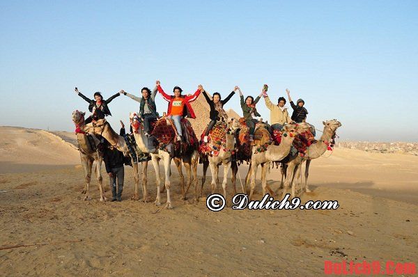Kinh nghiệm du lịch Ai Cập an toàn và tiết kiệm