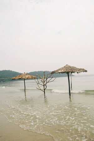 ivivu.com, đảo cô tô, đặt khách sạn, du lịch đảo cô tô những ngày lặng sóng