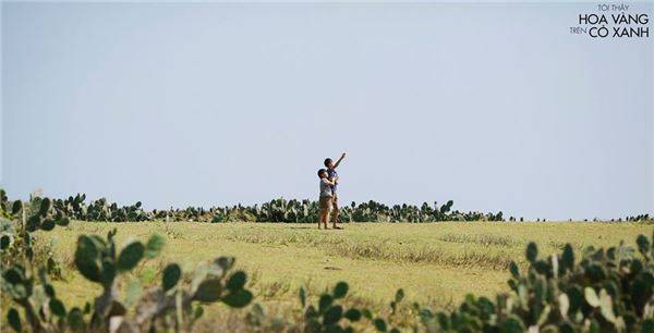ivivu.com, khung cảnh đồng quê phú yên đẹp bình dị trong ‘tôi thấy hoa vàng trên cỏ xanh’