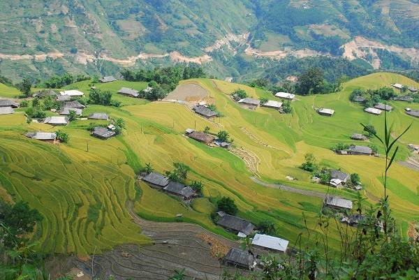 Hà Giang đẹp nao lòng mùa lúa chín