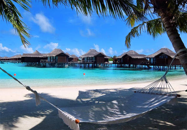 Kinh nghiệm cho người đi du lịch Maldives theo kiểu bụi
