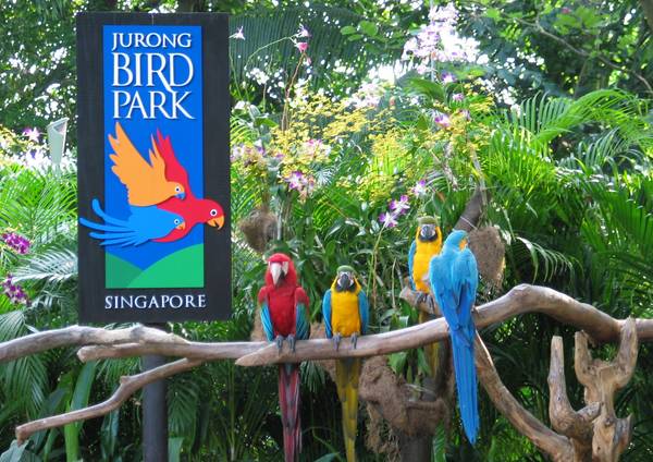 du lịch singapore, marina bay sands, sở thú singapore, vườn chim jurong, đảo sentosa, 7 địa điểm thú vị khi du lịch singapore cùng trẻ em