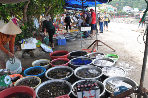 chợ hải sản, cù lao chàm, hải sản, chợ hải sản ăn liền độc đáo, rẻ nhất việt nam