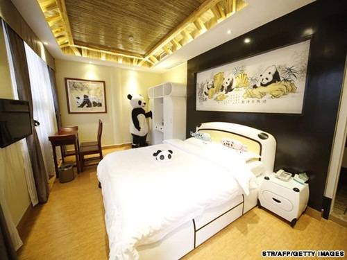 Tham quan khách sạn gấu trúc siêu dễ thương ở Trung Quốc