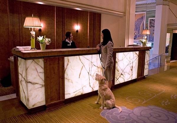 khách sạn mỹ, khách sạn paris, khách sạn úc, 10 khách sạn có dịch vụ kèm theo độc nhất vô nhị