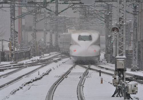 nhật bản, sân bay haneda tokyo, bão tuyết kỷ lục phủ trắng miền đông nhật bản