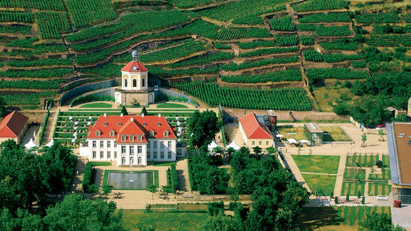 cung điện wackerbarth, du lịch dresden đức, du lịch đức, radebeul đức, rượu vang đức, sachsen đức, vườn nho radebeul, thành phố triệu phú trên đồi nho thơm ngát