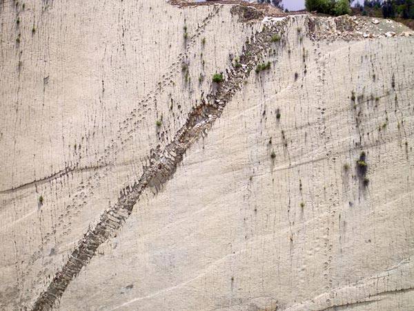 hóa thạch, khảo cổ, khủng long, vách đá vôi, ấn tượng bức tường 5.000 dấu chân khủng long