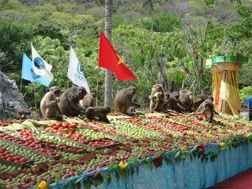festival biển nha trang 2013, hoa quả sơn, khánh hòa, lễ hội, nha trang, đảo khỉ, tưng bừng lễ hội hoa quả sơn ở đảo khỉ