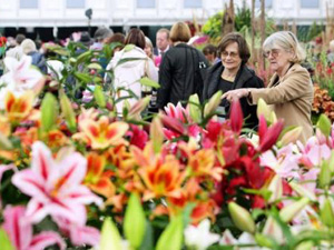 festival hoa, lễ hội hoa, 10 lễ hội hoa rực rỡ trên thế giới