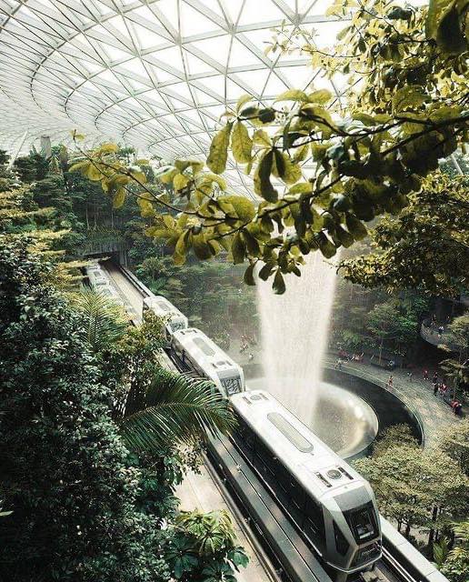 du lịch singapore, parkroyal collection, sân bay jewel changi, the interlace, tour singapore giá rẻ, tree house, vé máy bay, vé máy bay singapore, điểm đến singapore, top 5 công trình kiến trúc xanh nổi tiếng ở singapore