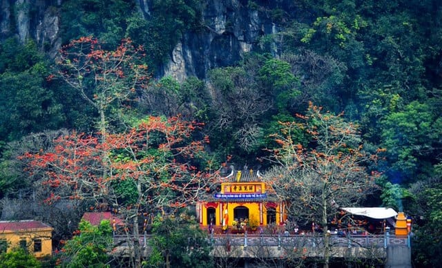 Kinh nghiệm du lịch tự túc chùa Hương siêu chi tiết từ A-Z