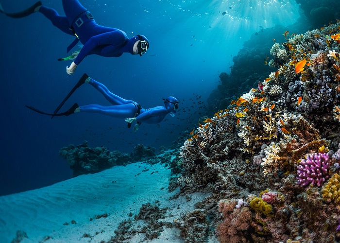 Bí kíp bảo vệ rạn san hô khi đi lặn biển khách du lịch cần biết