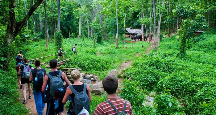 Trải nghiệm du lịch sinh thái tại vườn quốc gia Cúc Phương – Ninh Bình