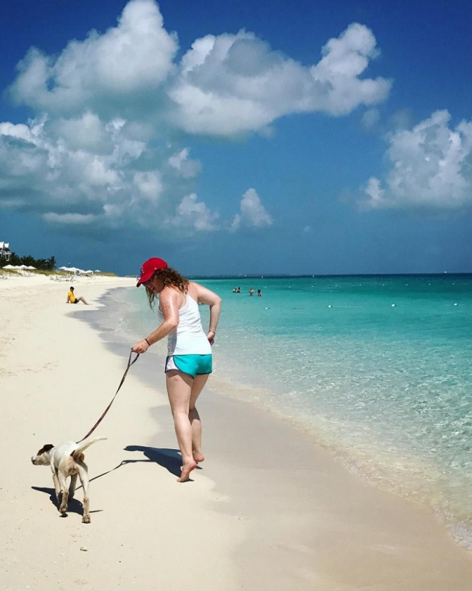 hòn đảo du lịch dành cho người yêu chó, dễ thương 'phát ngất' hòn đảo du lịch dành cho người yêu chó