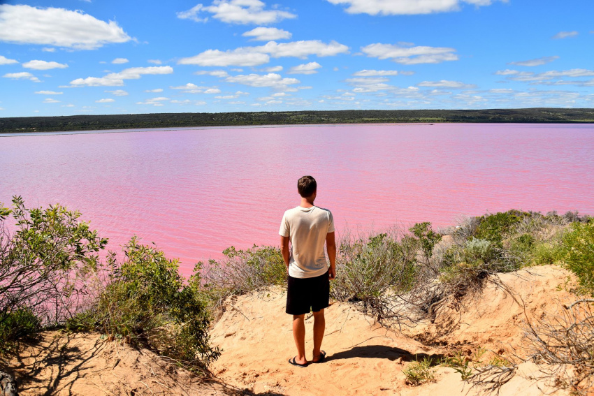 ngất ngây với khung cảnh đẹp tựa tranh vẽ tại hồ hutt lagoon – australia