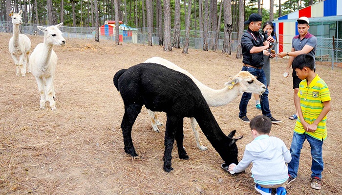 Vườn thú Zoodoo – điểm đến siêu ‘HOT’ tại Đà Lạt dành cho những ai yêu động vật