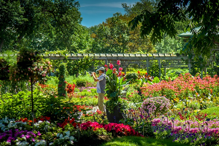 vườn bách thảo đẹp nhất thế giới, lạc lối trong màu xanh ngút ngàn của những vườn bách thảo đẹp nhất thế giới