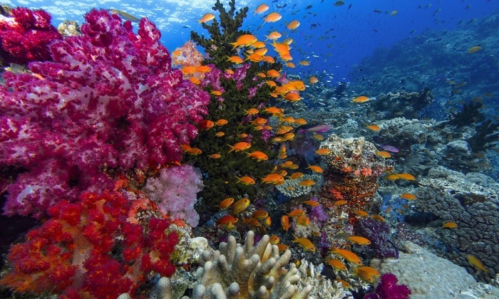 quần đảo fiji, ngắm cảnh hoàng hôn đẹp nhất thế giới ở quần đảo fiji nằm giữa thái bình dương