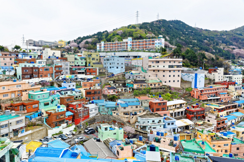 Lạc bước giữa không gian nghệ thuật rực rỡ sắc màu tại làng Gamcheon – Hàn Quốc