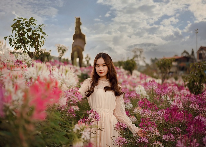 Những vườn hoa đẹp ở Việt Nam lên hình ‘xinh nức nở’, check in 1 buổi có hình sống ảo cả năm