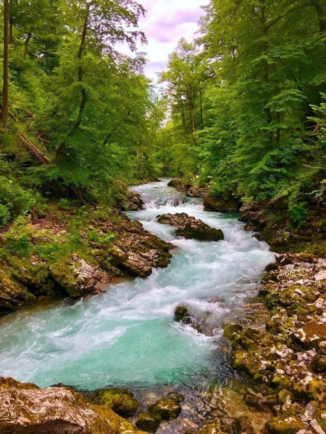 du lịch slovenia, hướng dẫn du lịch slovenia - đất nước nhỏ bé và xinh đẹp ở châu âu