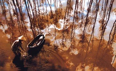 Khám phá rừng nước đỏ U Minh Thượng