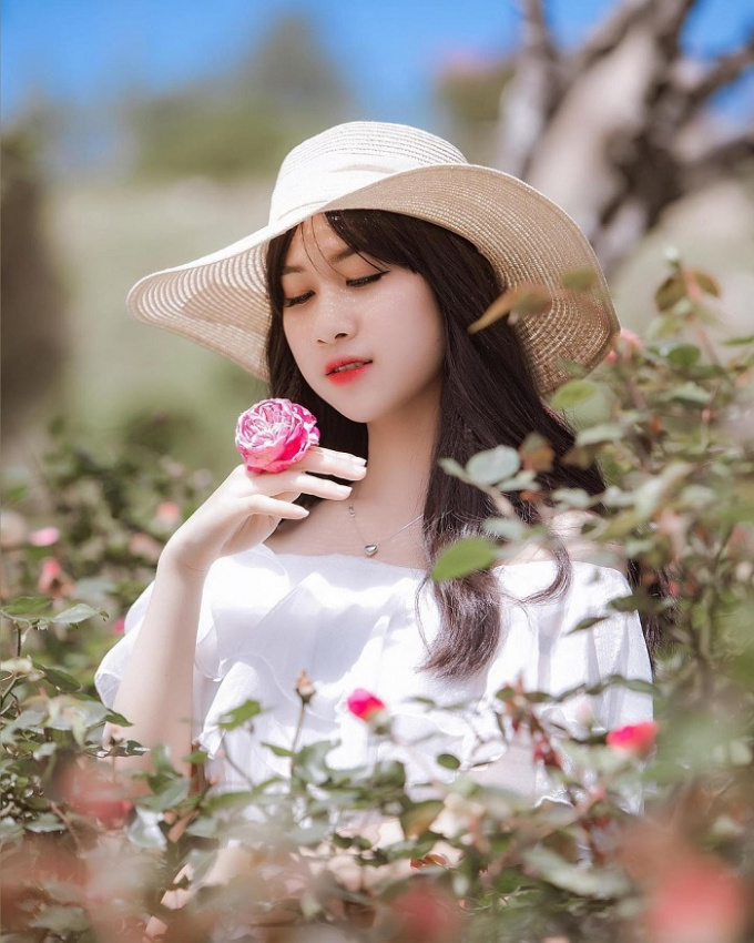 Hóa thành nàng công chúa ở những vườn hoa hồng đẹp nhất Việt Nam 