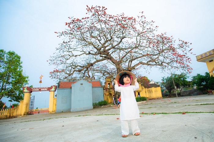 Những cây trăm tuổi nổi tiếng ở Việt Nam là bối cảnh sống ảo nổi ‘bần bật’ trên mạng 