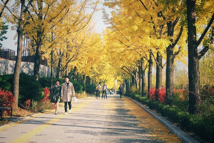 Tiết kiệm chi phí với những địa điểm du lịch miễn phí tại Seoul