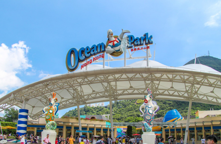 Kinh nghiệm du lịch Ocean Park Hong Kong – một trong những công viên chủ đề lớn nhất Châu Á