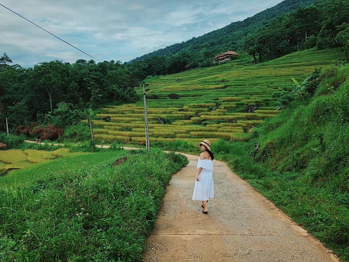 kinh nghiệm du lịch pù luông – địa điểm sống ảo lý tưởng tại thanh hóa