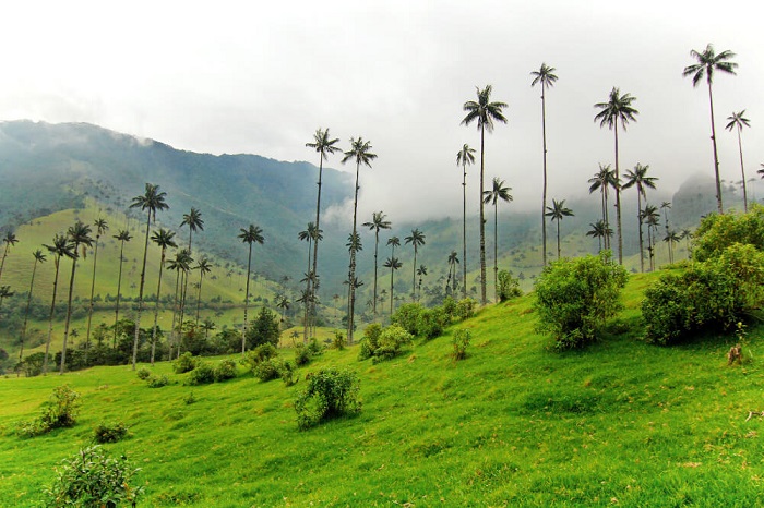 những địa điểm du lịch nổi tiếng tại colombia mà bạn không nên bỏ qua