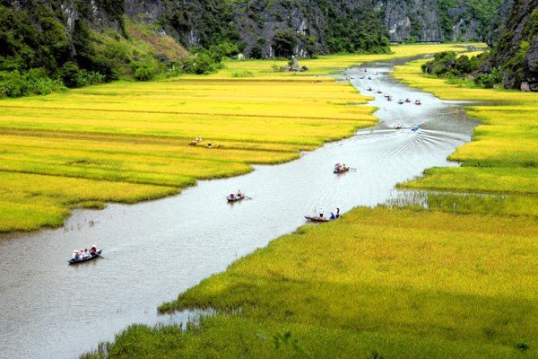 Đi thuyền trên Sông Ngô Đồng và những kỷ niệm