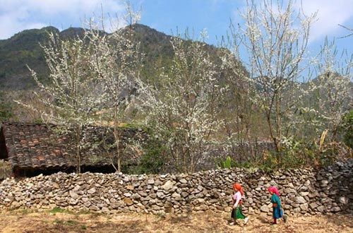 bà nà, cao nguyên đồng văn, du lịch mộc châu, du lịch mùa hè, du lịch phia oắc, du lịch tam đảo, du lịch đà lạt, mẫu sơn, 10 địa danh lý tưởng trốn nắng hè ở việt nam