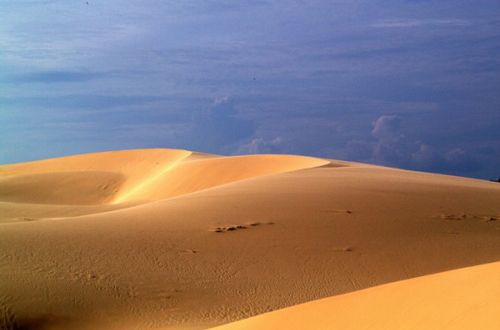 bàu cát, chợ bàu cát, du lịch bình thuận, du lịch phan thiết, vui chơi giải trí, đồi cát mũi né, về bàu cát - nơi sen nở trên sa mạc