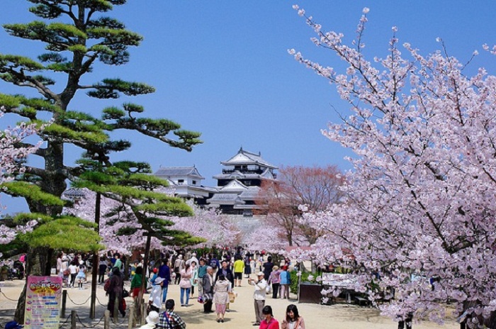 Một số cách tiết kiệm chi phí khi đi du lịch Nhật Bản mà bạn nên biết