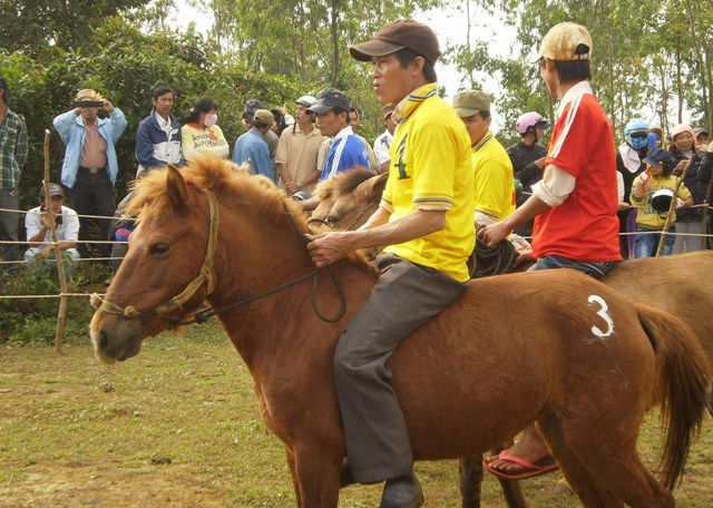 Thú vị với những lễ hội đua ngựa tại Việt Nam
