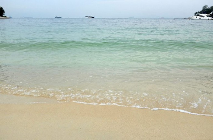 kinh nghiệm du lịch đảo lazarus bãi biển bí ẩn nhất của singapore
