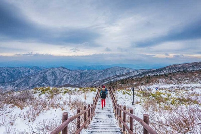 Note ngay những kinh nghiệm du lịch Hàn Quốc mùa đông này vào nhé