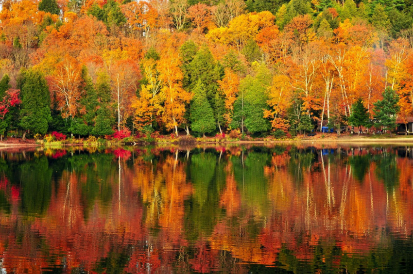 đừng bỏ lỡ du lịch mùa thu canada – mùa đẹp nhất trong năm