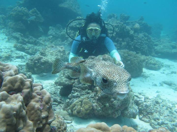 khám phá đảo coral thái lan – thiên đường san hô dưới hạ giới