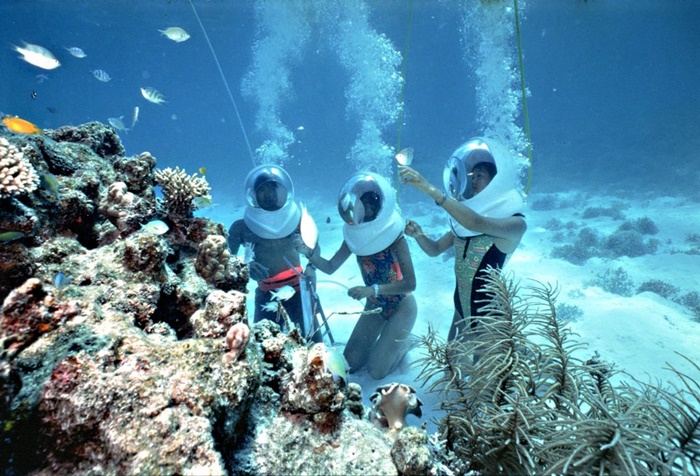 khám phá đảo coral thái lan – thiên đường san hô dưới hạ giới